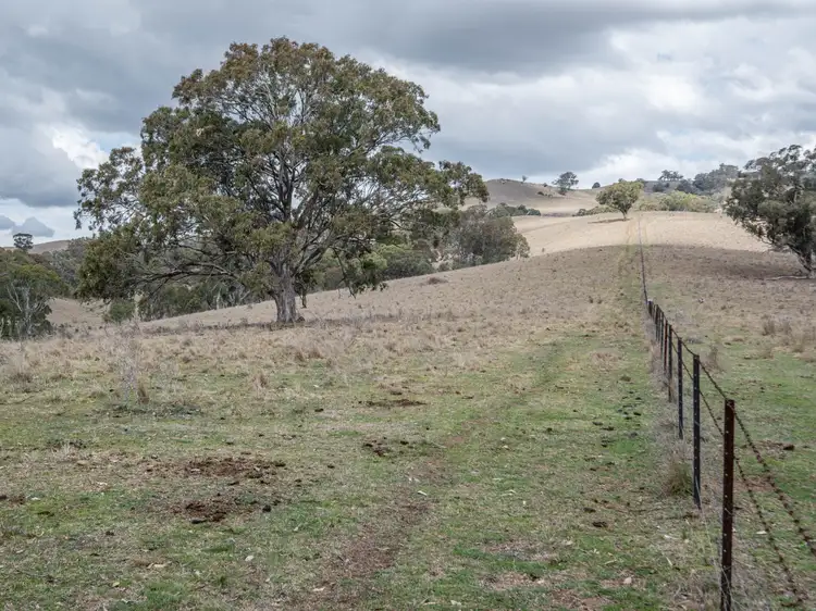 Fifth view of Homely rural property listing, "Nelson's" Stock Route Rd, Blandford NSW 2338