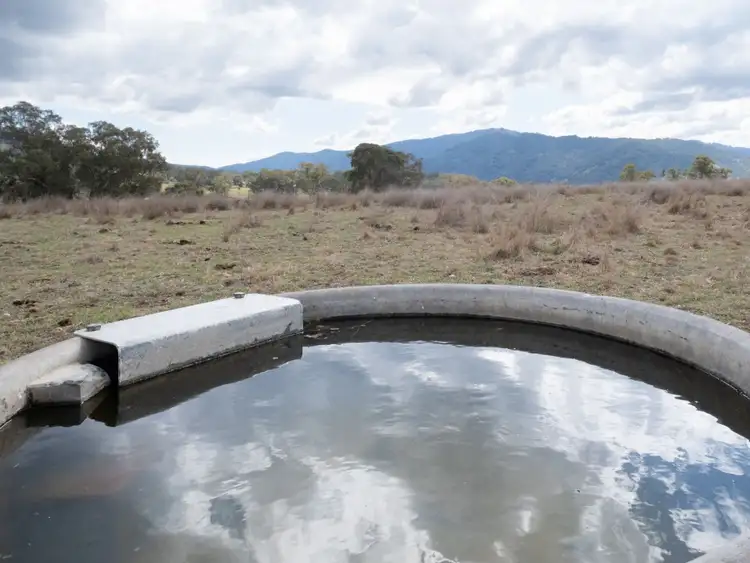 Sixth view of Homely rural property listing, "Nelson's" Stock Route Rd, Blandford NSW 2338