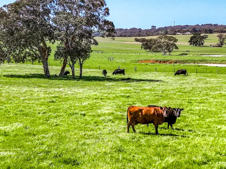 Third view of Homely rural property listing, 3828 Range Road, Waitpinga SA 5211