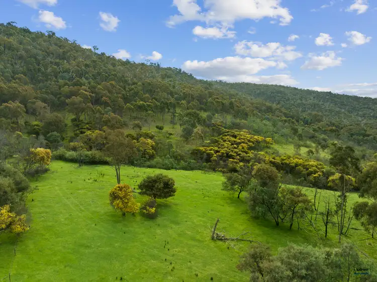 Fourth view of Homely rural property listing, 852 Watchbox Creek Rd, Molyullah VIC 3673