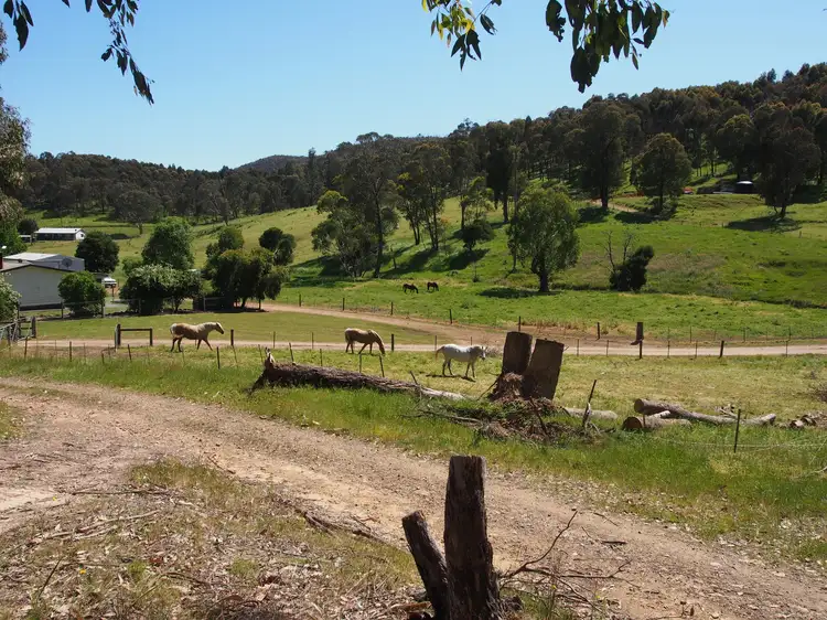 Seventh view of Homely rural property listing, 852 Watchbox Creek Rd, Molyullah VIC 3673