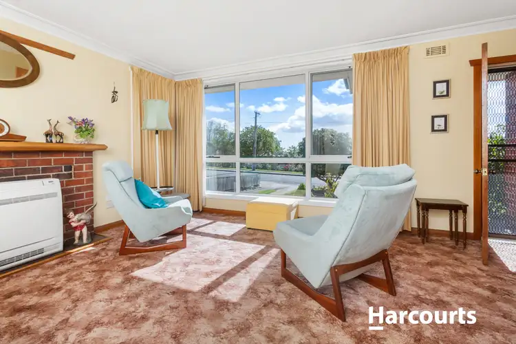 Sixth view of Homely house listing, 11 Mary Street, Scottsdale TAS 7260