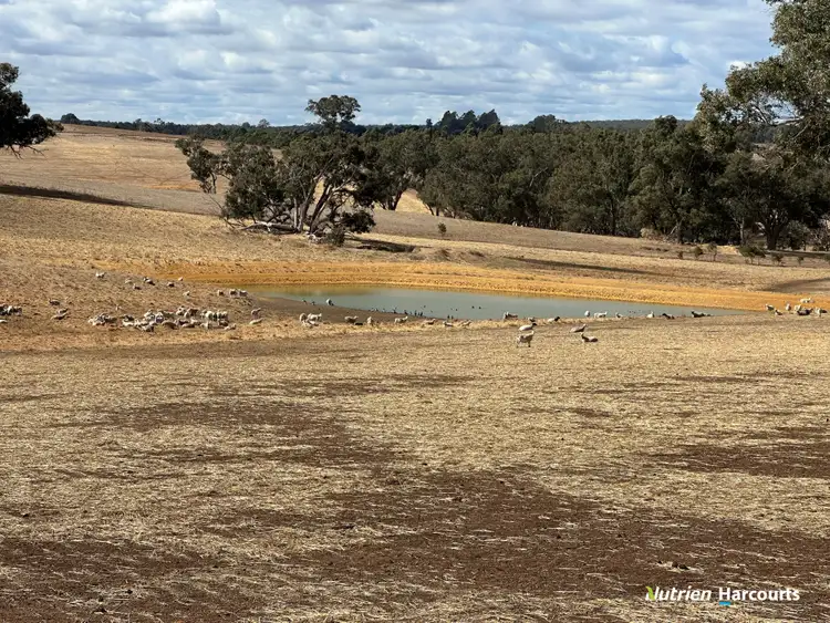 Second view of Homely rural property listing, 1055 Junction Road, Perup WA 6258