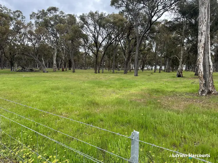 Seventh view of Homely rural property listing, 1055 Junction Road, Perup WA 6258