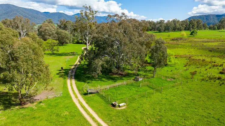 Second view of Homely rural property listing, 425 Mountain Creek Road, Tawonga VIC 3697