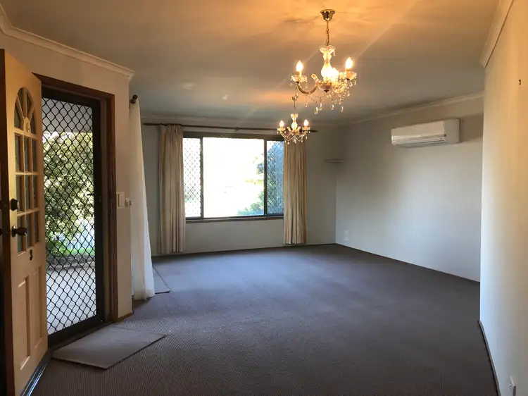 Fifth view of Homely house listing, 3 Sue Court, Highland Park QLD 4211
