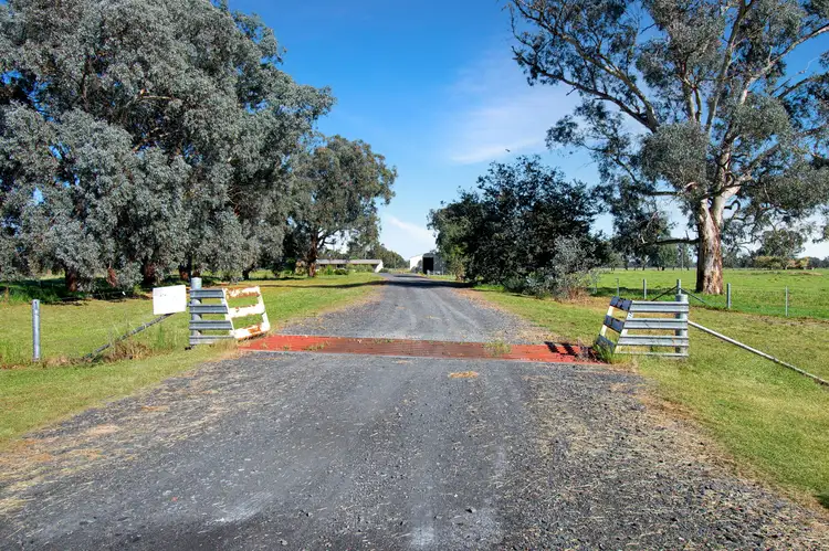 Fourth view of Homely house listing, 77 Tip Road, Holbrook NSW 2644