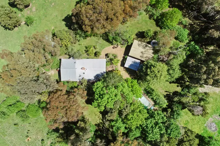 Second view of Homely house listing, 241 Harpers Road, Barjarg VIC 3723