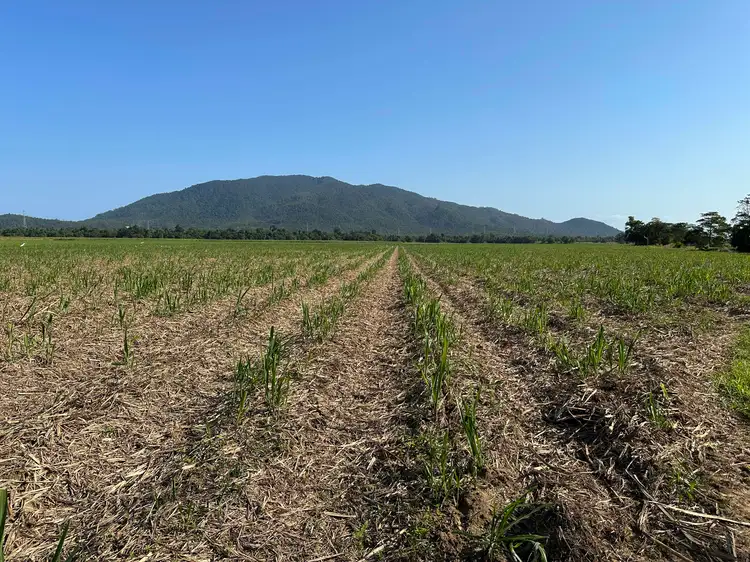 Main view of Homely rural property listing, Lot 2 Broderick Road, Midgenoo QLD 4854