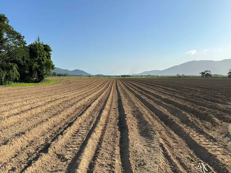 Third view of Homely rural property listing, Lot 2 Broderick Road, Midgenoo QLD 4854