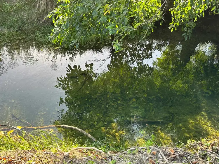 Fourth view of Homely rural property listing, Lot 2 Broderick Road, Midgenoo QLD 4854