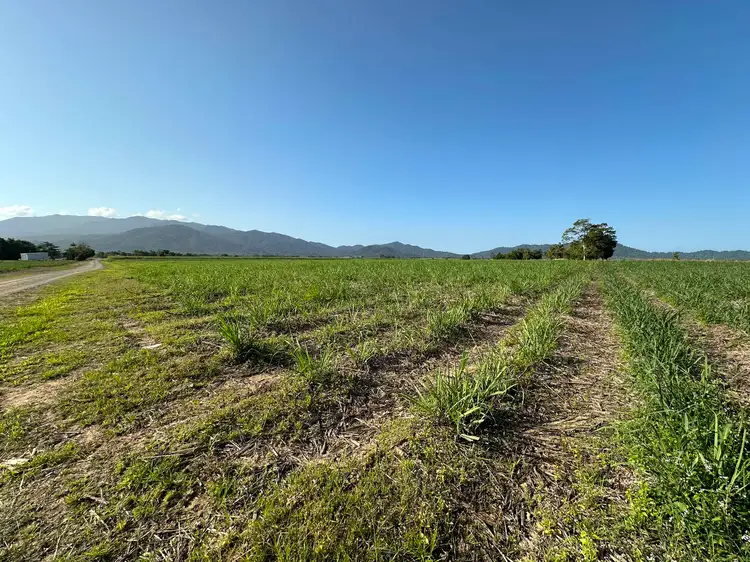 Fifth view of Homely rural property listing, Lot 2 Broderick Road, Midgenoo QLD 4854