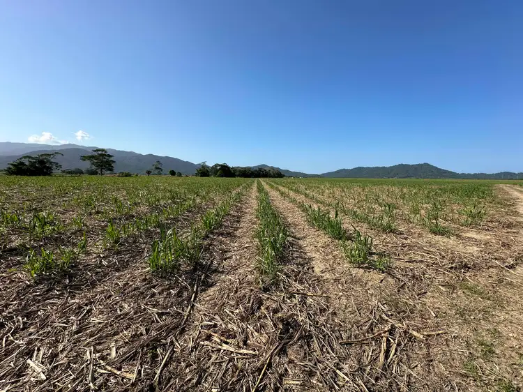 Seventh view of Homely rural property listing, Lot 2 Broderick Road, Midgenoo QLD 4854