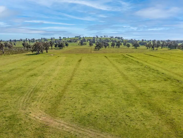 Sixth view of Homely rural property listing, Part Lot 2/PS94400 345 Hoults Lane, Moyhu VIC 3732