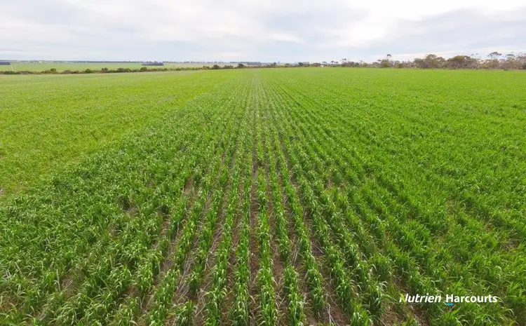 Fifth view of Homely rural property listing, 111 Coxall Road, Munglinup WA 6450