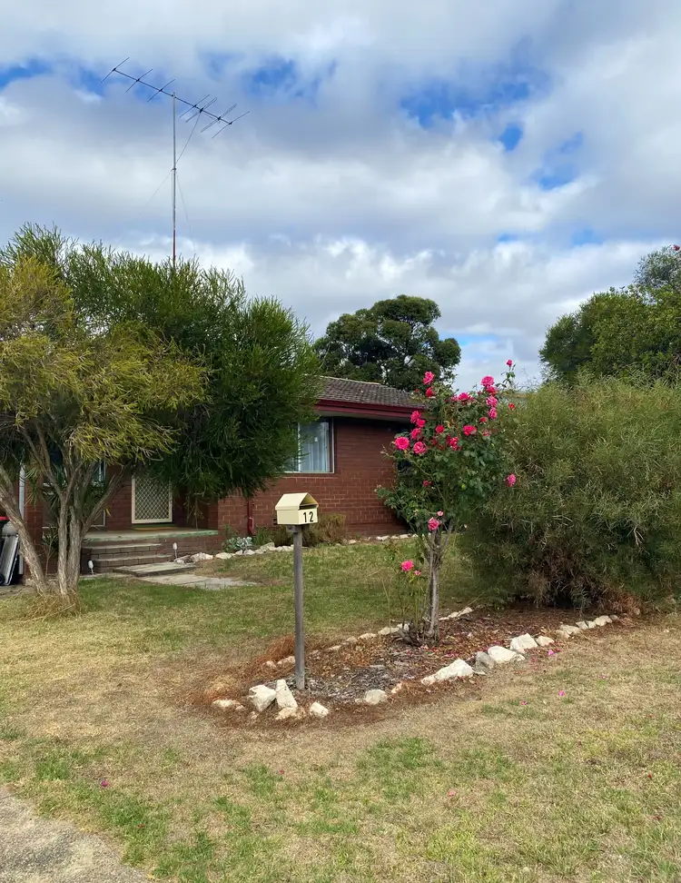 12 Guilfoyle Street, Manjimup WA 6258
