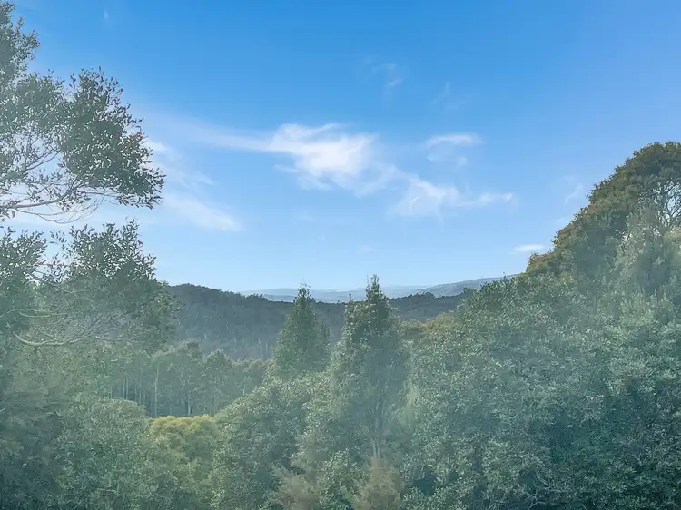 Fourth view of Homely land listing, 28963 Tasman Highway, Weldborough TAS 7264