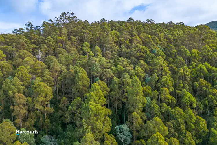 Third view of Homely land listing, - Smiths Road, Nicholls Rivulet TAS 7112