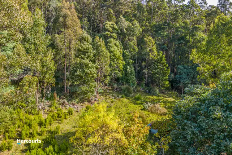 Fifth view of Homely land listing, - Smiths Road, Nicholls Rivulet TAS 7112
