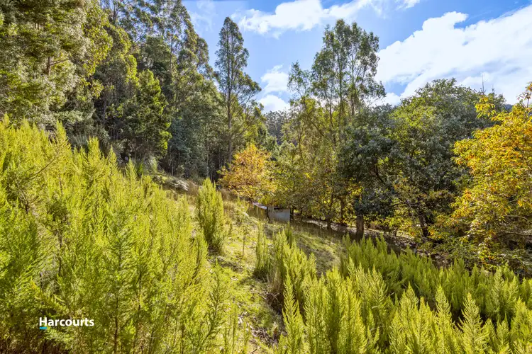 Sixth view of Homely land listing, - Smiths Road, Nicholls Rivulet TAS 7112