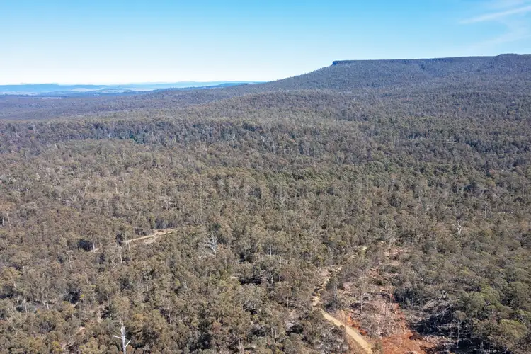 Second view of Homely rural property listing, 110 Table Mountain Road, Interlaken TAS 7030