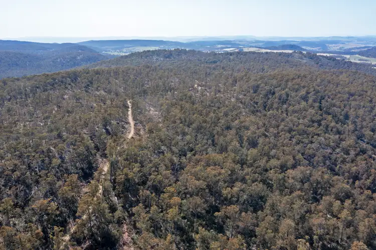 Third view of Homely rural property listing, 110 Table Mountain Road, Interlaken TAS 7030