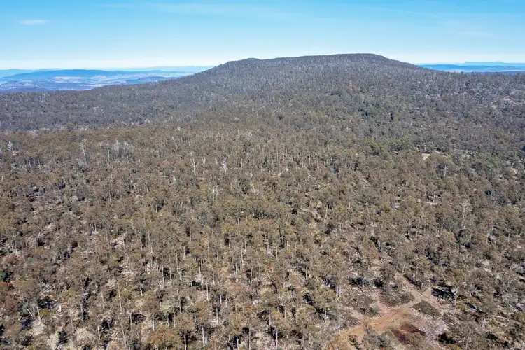 Sixth view of Homely rural property listing, 110 Table Mountain Road, Interlaken TAS 7030