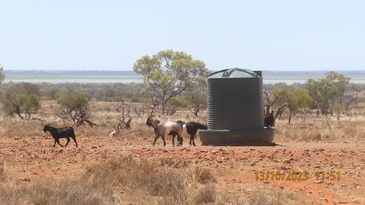 Fifth view of Homely rural property listing, * Volo Station, Wilcannia NSW 2836