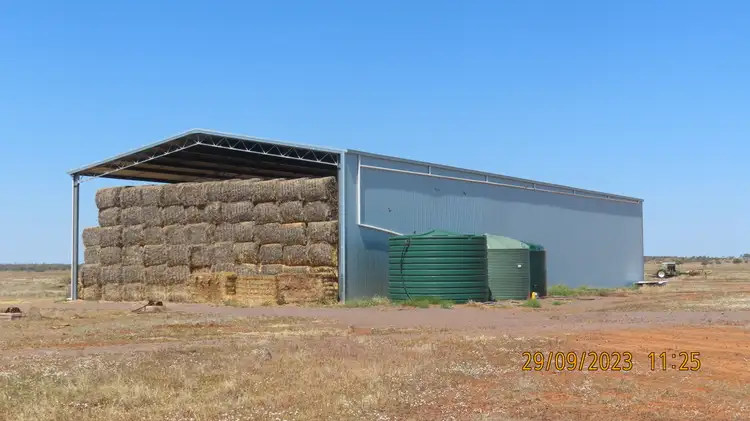 Seventh view of Homely rural property listing, * Volo Station, Wilcannia NSW 2836