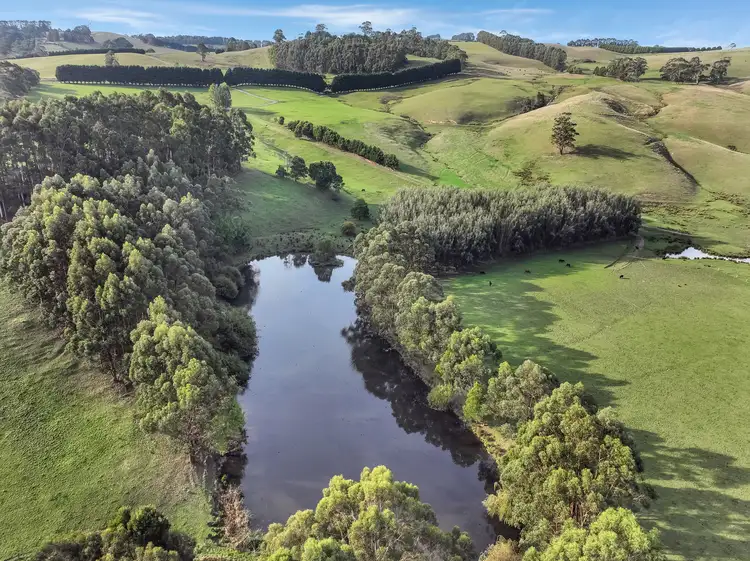 Fourth view of Homely rural property listing, 213 Mirboo Road, Mirboo VIC 3871
