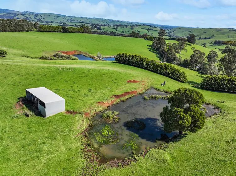 Fifth view of Homely rural property listing, 213 Mirboo Road, Mirboo VIC 3871