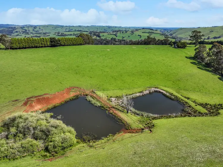 Sixth view of Homely rural property listing, 213 Mirboo Road, Mirboo VIC 3871