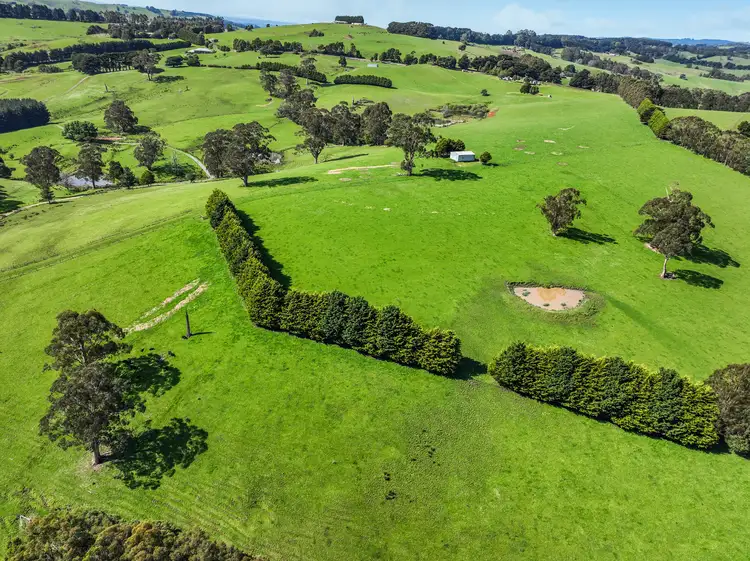 Seventh view of Homely rural property listing, 213 Mirboo Road, Mirboo VIC 3871