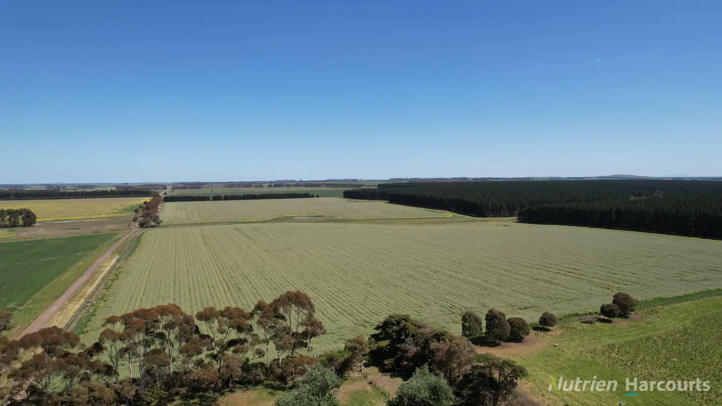 Main view of Homely rural property listing, 705 Grists Road, Bradvale VIC 3361