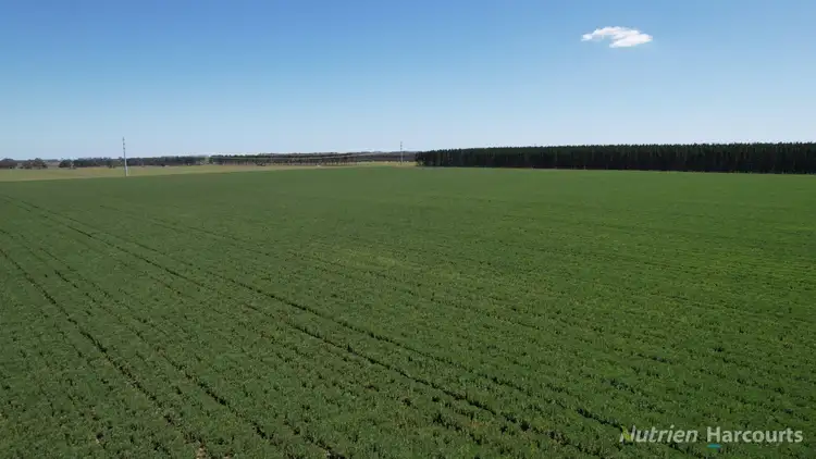 Second view of Homely rural property listing, 705 Grists Road, Bradvale VIC 3361