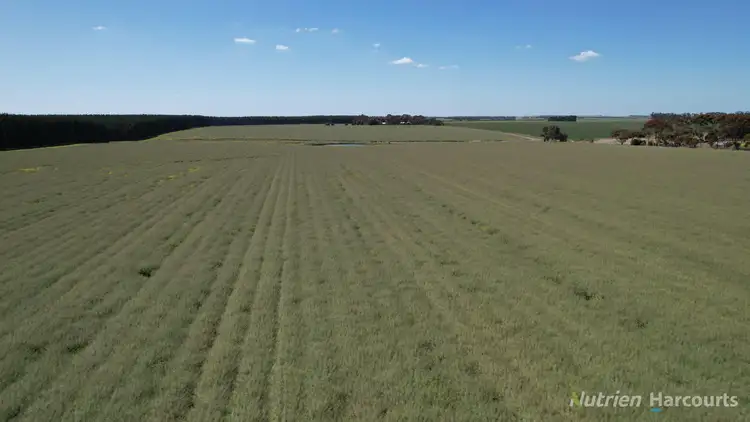 Third view of Homely rural property listing, 705 Grists Road, Bradvale VIC 3361
