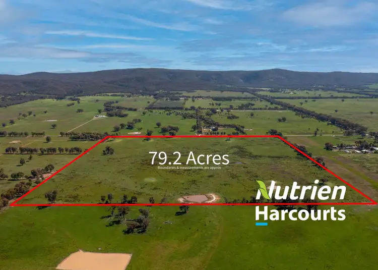 Main view of Homely rural property listing, Lots 9 & 10 Warby Range Road, Wangandary VIC 3678