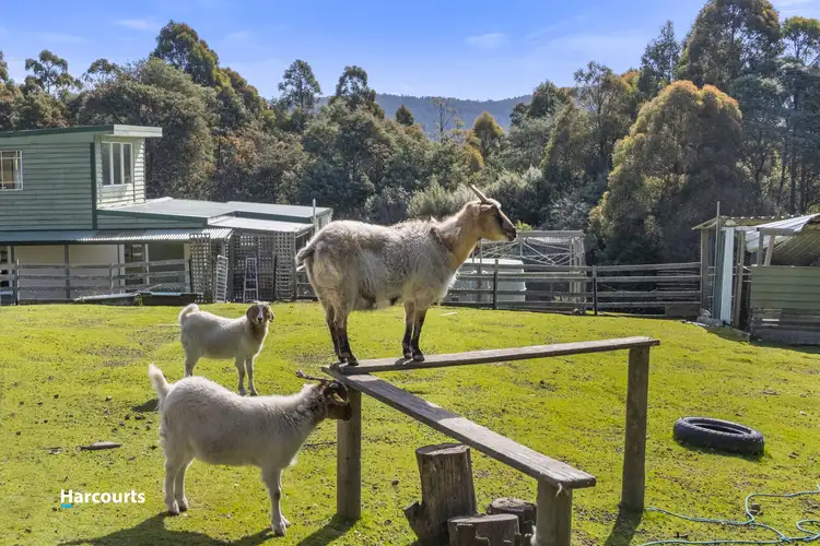 Sixth view of Homely house listing, 181 Kalonga Road, Nicholls Rivulet TAS 7112