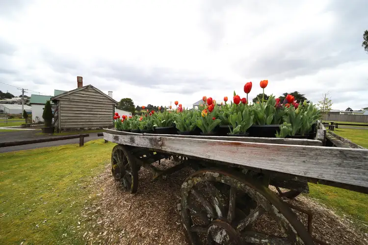 Seventh view of Homely land listing, 14 Main Street, Waratah TAS 7321