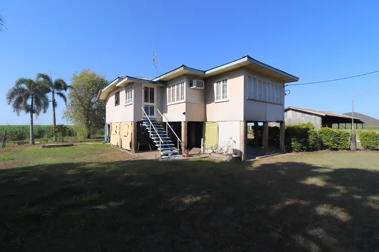 Main view of Homely house listing, 245 Daniel Road, Fredericksfield QLD 4806