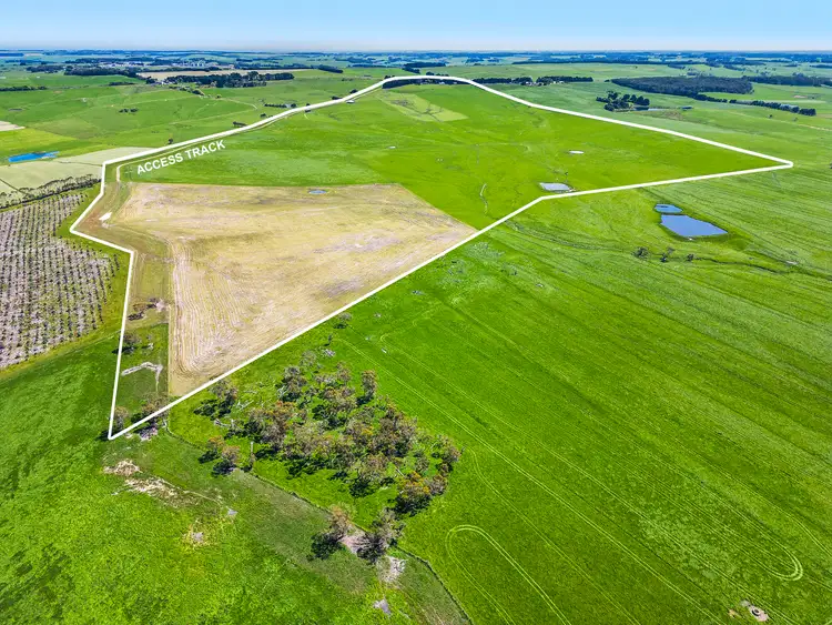 Fourth view of Homely rural property listing, 201A Melrose Road, Cooriemungle VIC 3268