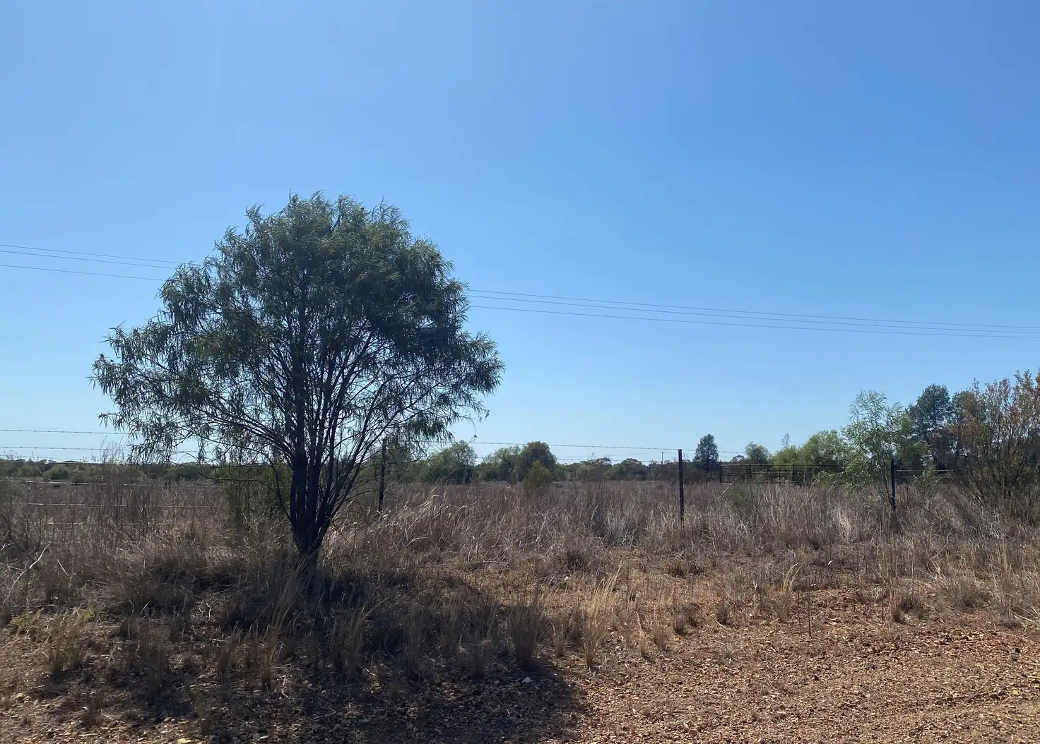 Main view of Homely land listing, 36320 Kidman Way, Cobar NSW 2835