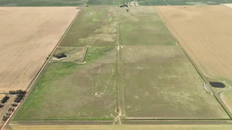 Second view of Homely rural property listing, Petersons Hill Quongdong Road, Deniliquin NSW 2710
