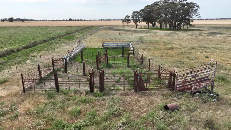 Fourth view of Homely rural property listing, Petersons Hill Quongdong Road, Deniliquin NSW 2710
