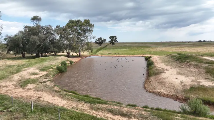 Fifth view of Homely rural property listing, Petersons Hill Quongdong Road, Deniliquin NSW 2710