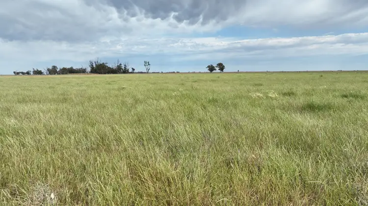 Seventh view of Homely rural property listing, Petersons Hill Quongdong Road, Deniliquin NSW 2710