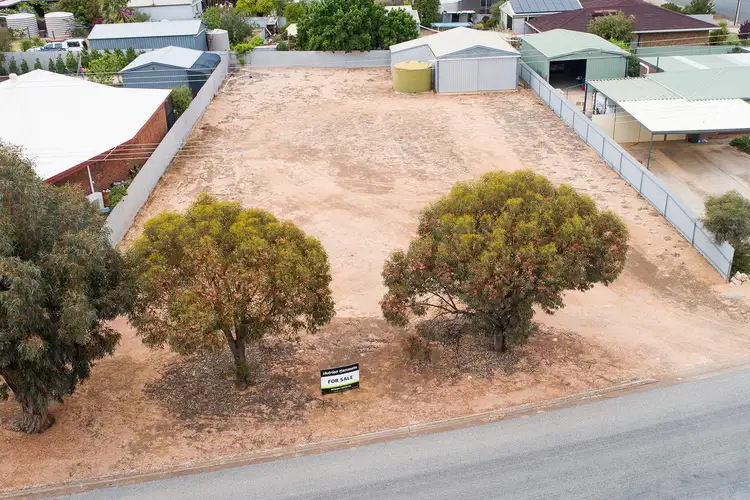 Second view of Homely land listing, 36 Naylor Terrace, Wudinna SA 5652
