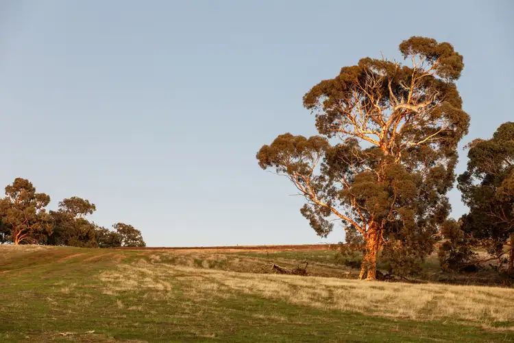 Fifth view of Homely land listing, LOT 615 Malvi Close, Lower Chittering WA 6084