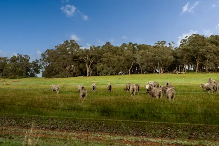Fourth view of Homely land listing, LOT 634 Malvi Close, Lower Chittering WA 6084