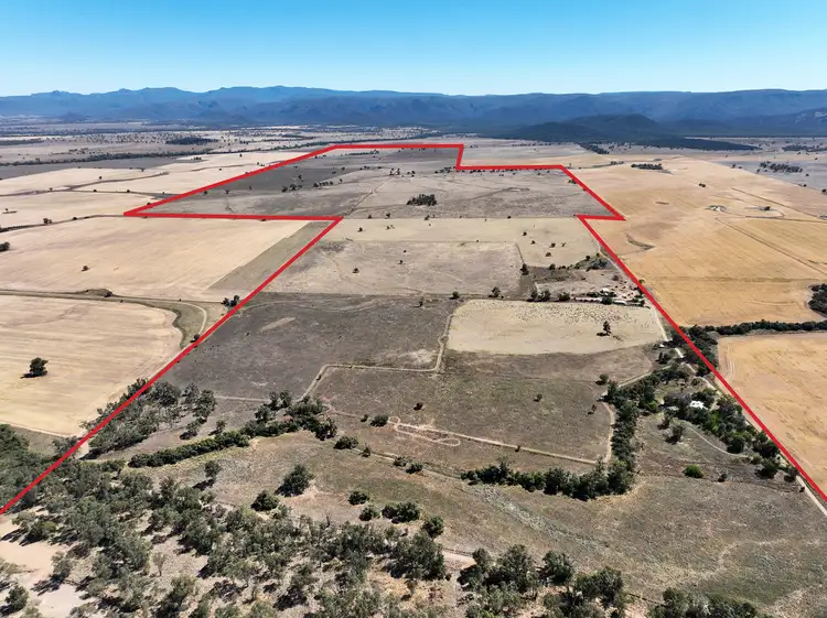111 Thornfield Crossing Road, Maules Creek NSW 2382